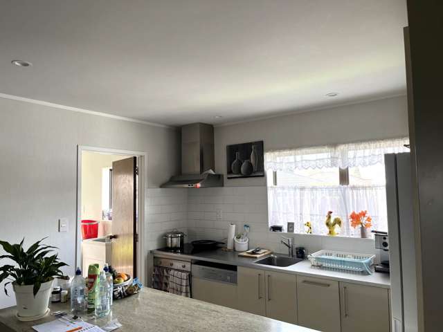 7B Helvetia Road Pukekohe_1