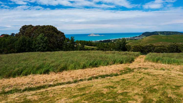 LOT 1 Waimarama Road_3