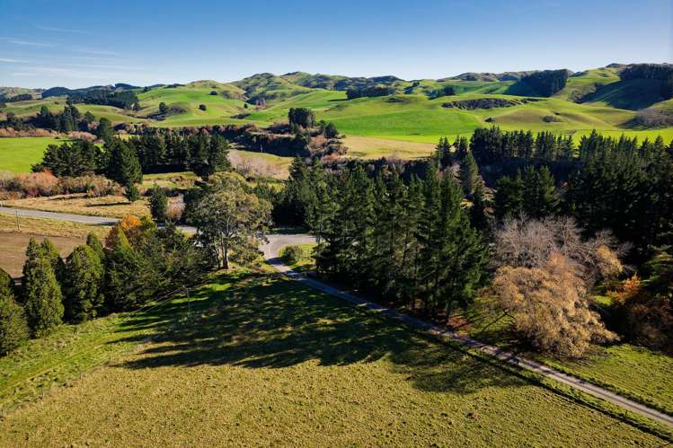 8P Davaar Road Greta Valley_19