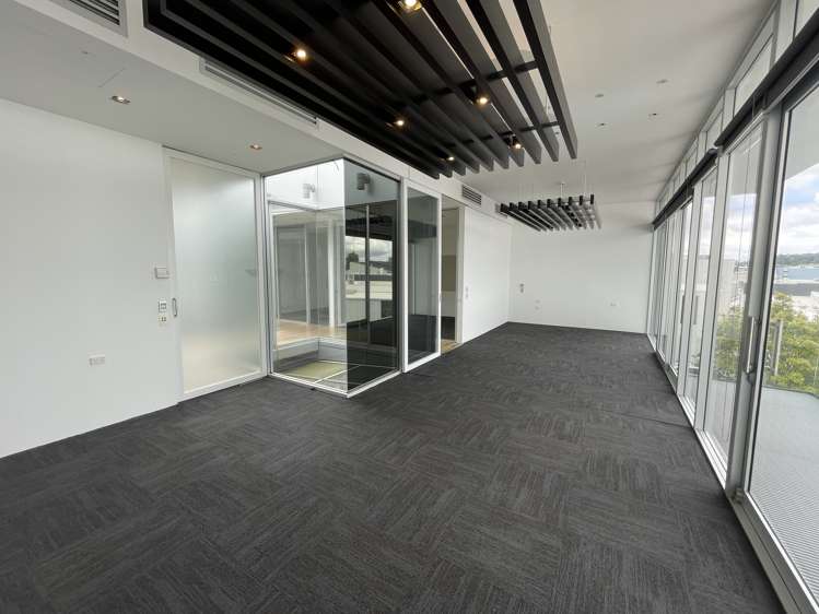 38 Ponsonby Road Grey Lynn_8