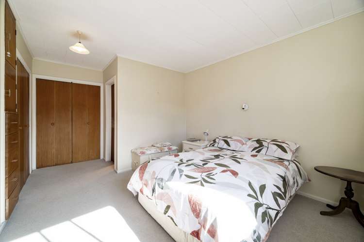 5 Douglas Street Springfield_8