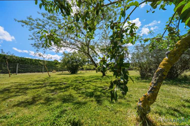 143 Karanga Road Dunsandel_29