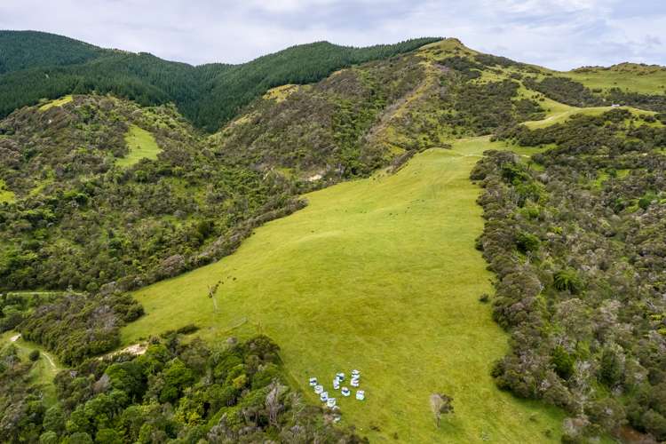 671 Saunders Road Tiraumea_10