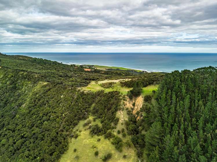 7849 State Highway 12 Omapere_28