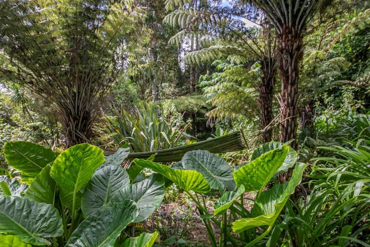 16 Kopiko Road Titirangi_19