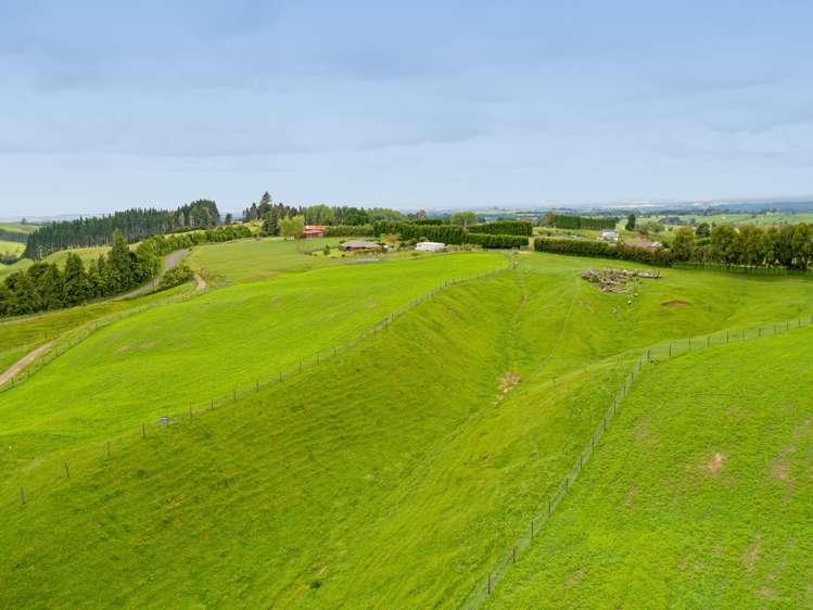 8 Shaw Road Te Ranga_24