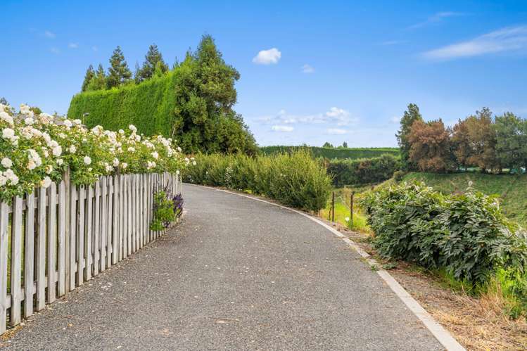 99 Homewood Drive Te Puke_7