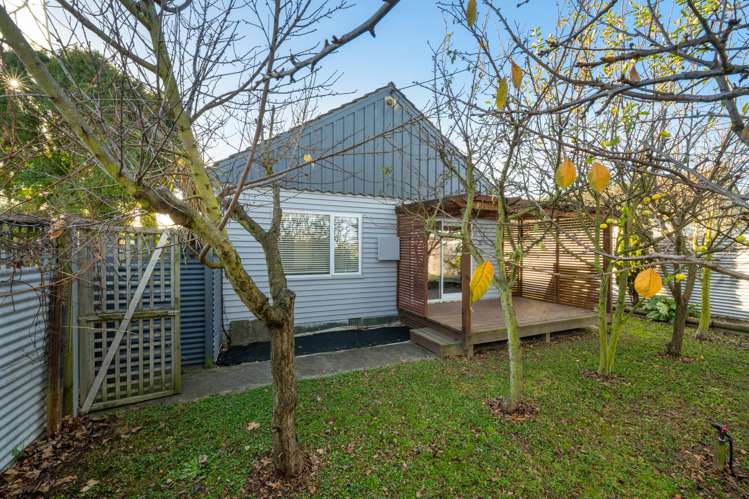 118 Old Renwick Road Springlands_10
