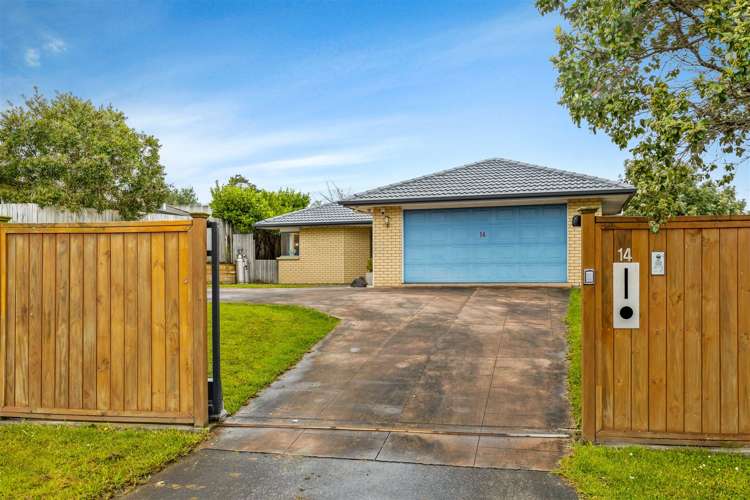 14 Ginders Drive Massey_25