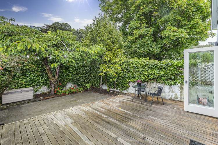 121 Aro Street Aro Valley_14