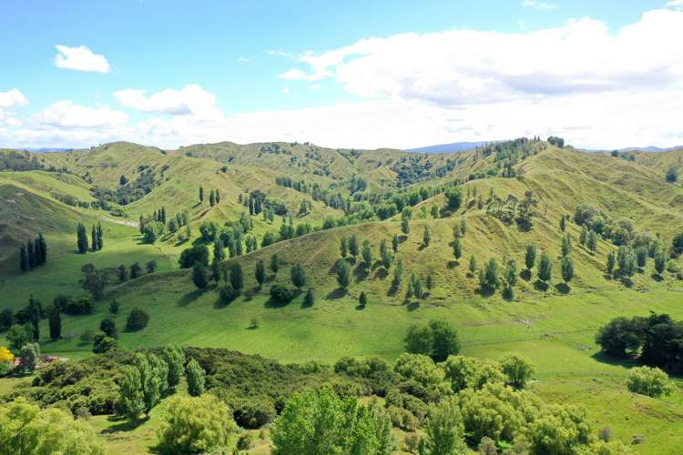 174 Clydebank Road Wairoa_14