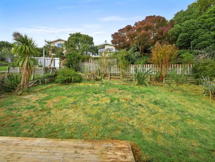 446 Pine Hill Road Pine Hill_18