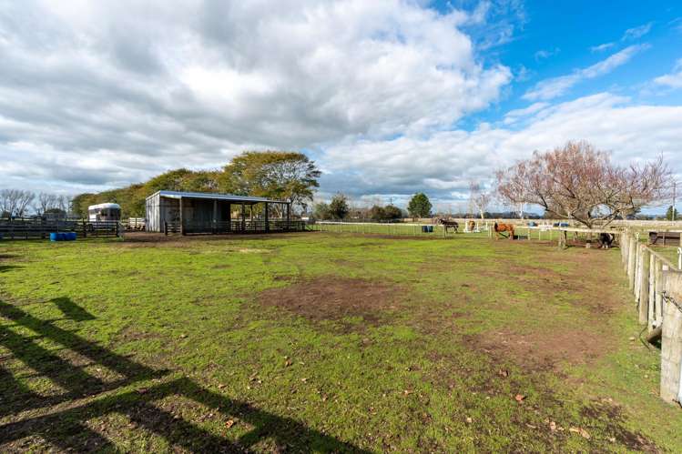 293 Woodlands Road Gordonton_29