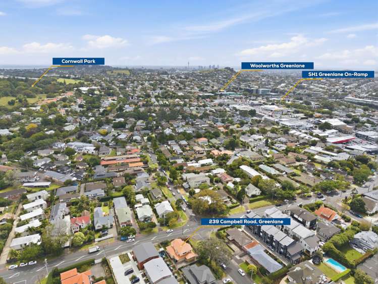 239 Campbell Road Greenlane_24