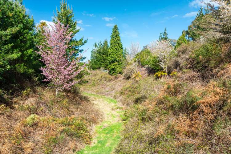 514 State Highway 1 Wairakei And Surrounds_31