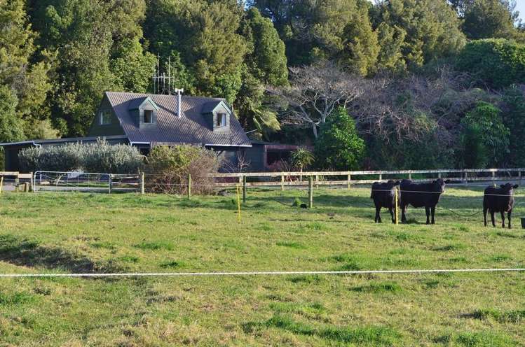 75d Ross Road Whakamarama_28