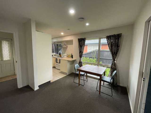 44b Springs Road Hornby_3