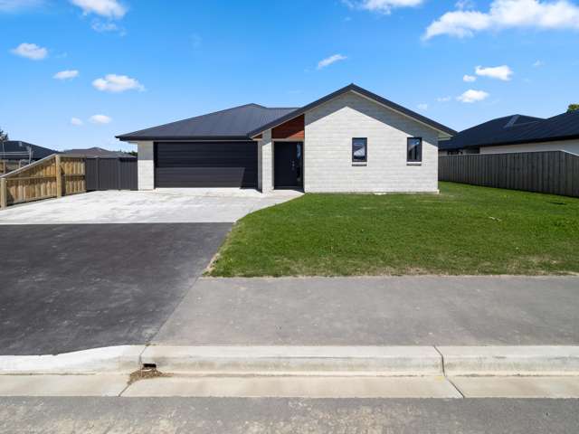56 Catherine Street Tinwald_1