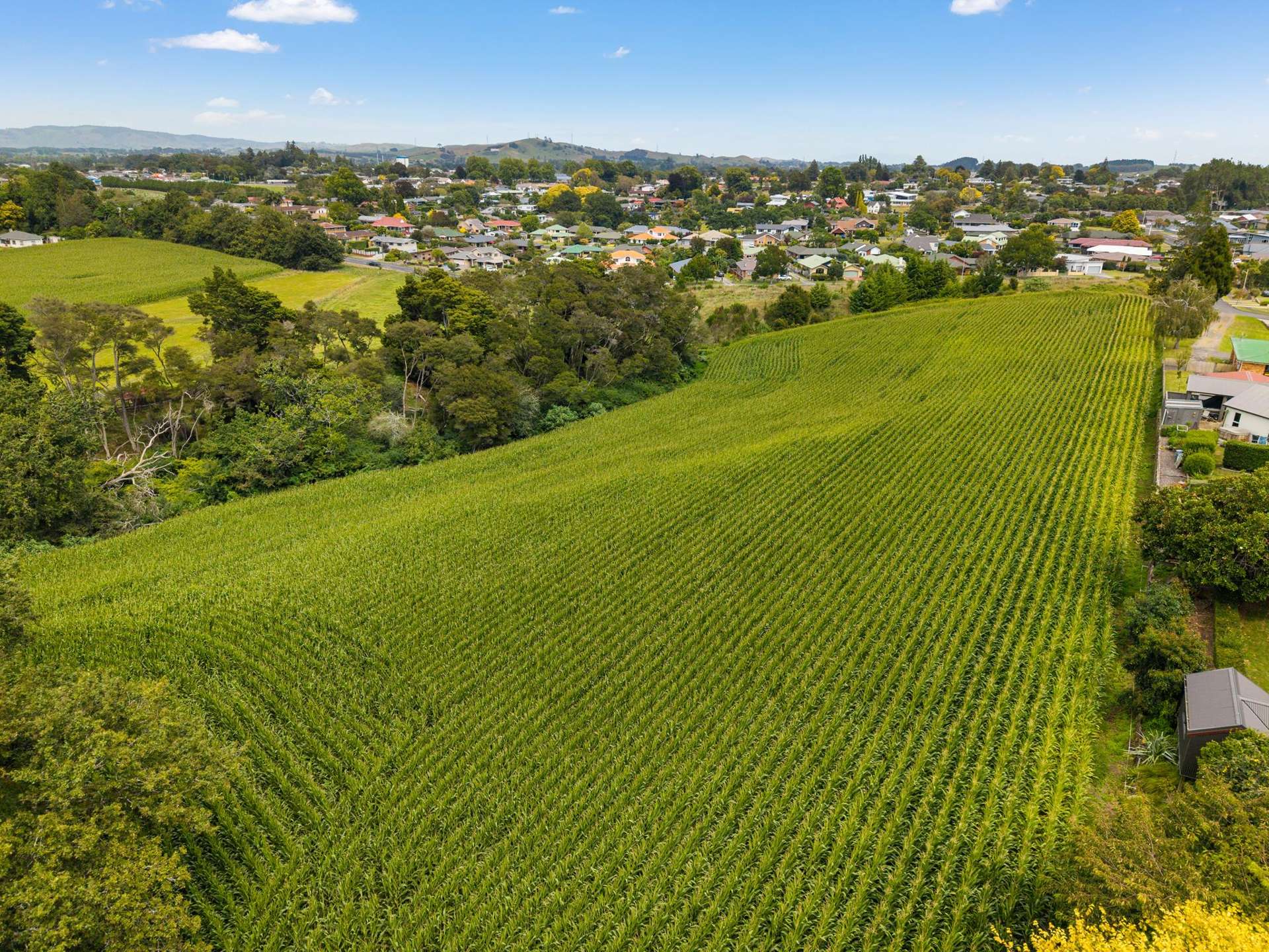 6 Seales Road Morrinsville_0