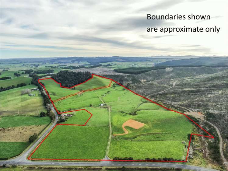 52 Kopuku Road Waerenga_0