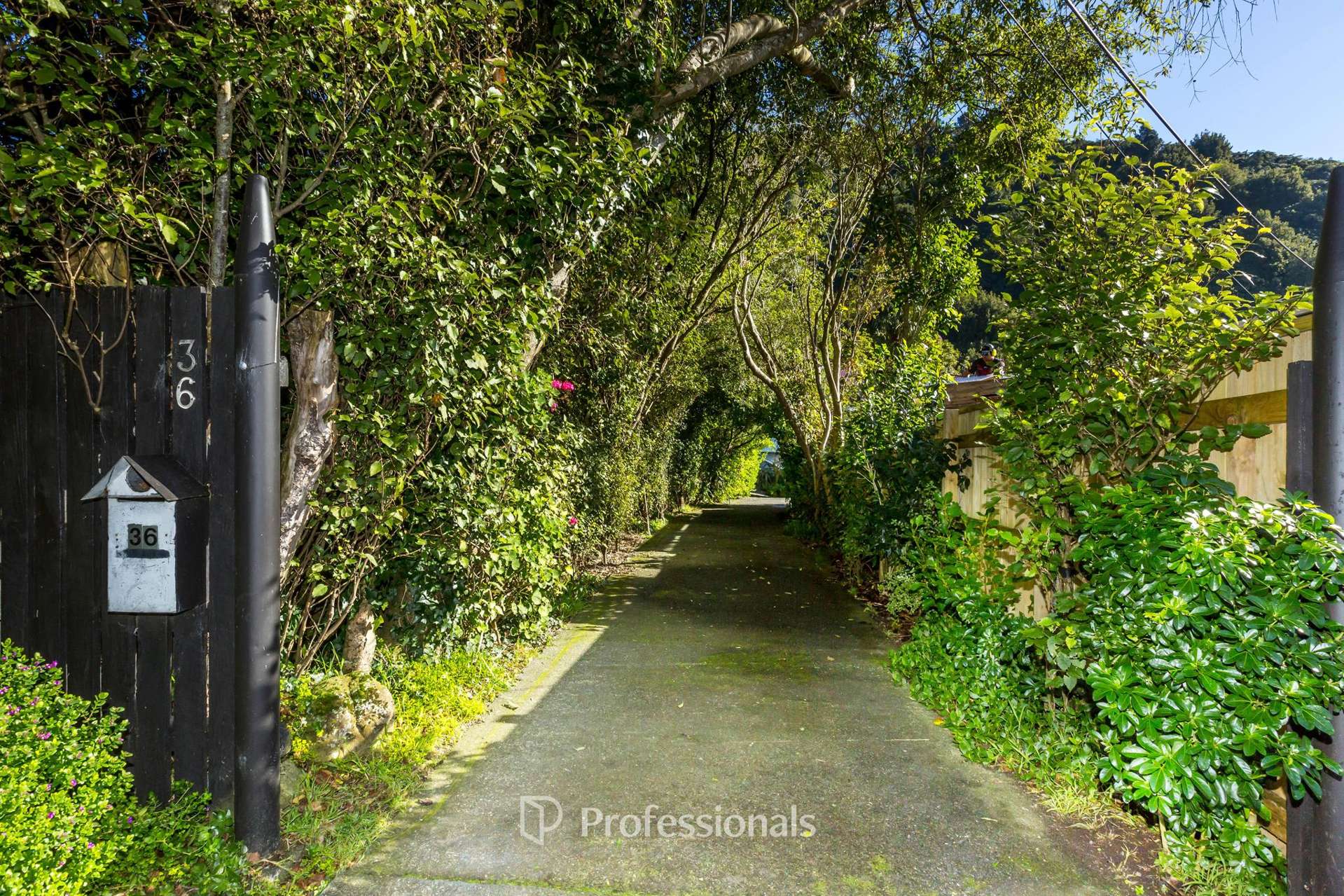 36 Black Beech Street Birchville_0