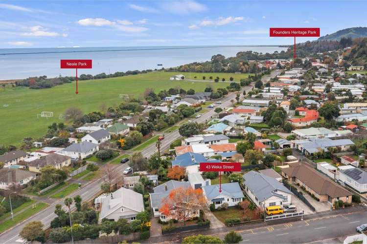 43 Weka Street The Wood_21