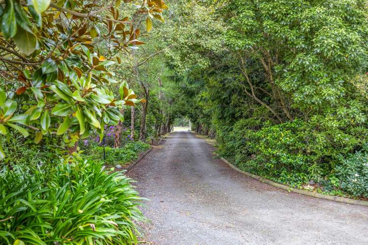 295 Dixons Road Loburn_3