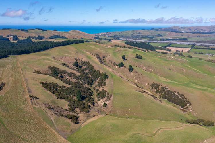 359 Hurunui Mouth Road Domett_29