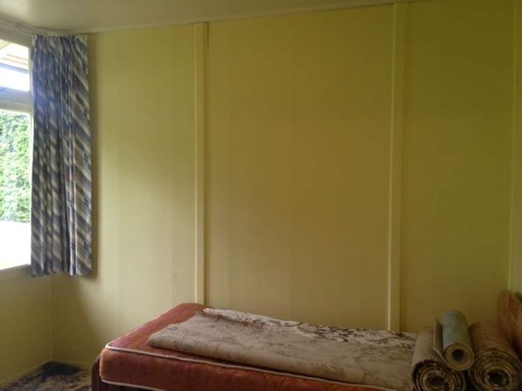 173 McDougalls Road Mayfield_8