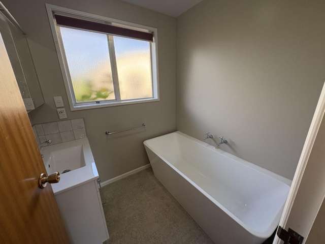 167 Davison Road 11286_4