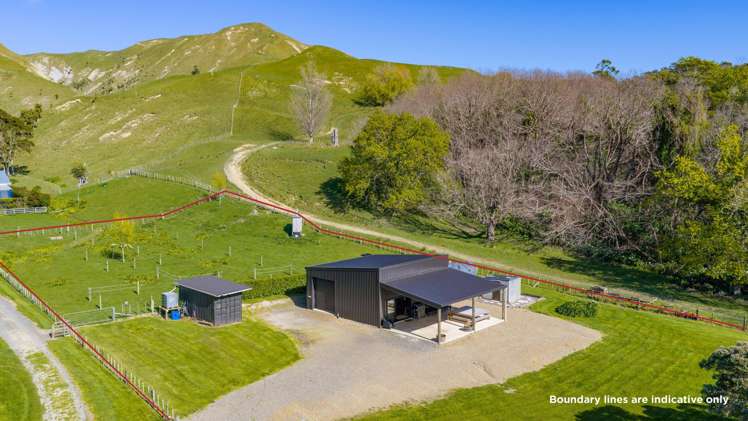 709A Gibraltar Road Aramoana_14