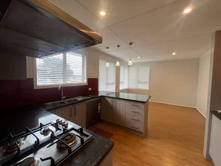 25 Astley Ave New Lynn_6