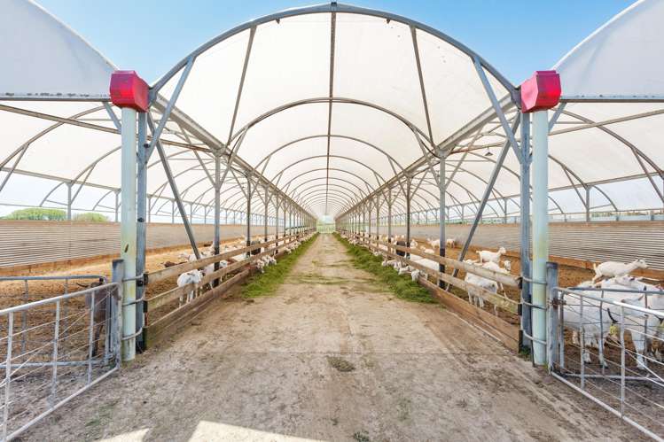 263 Paratu Road, Walton Matamata_22