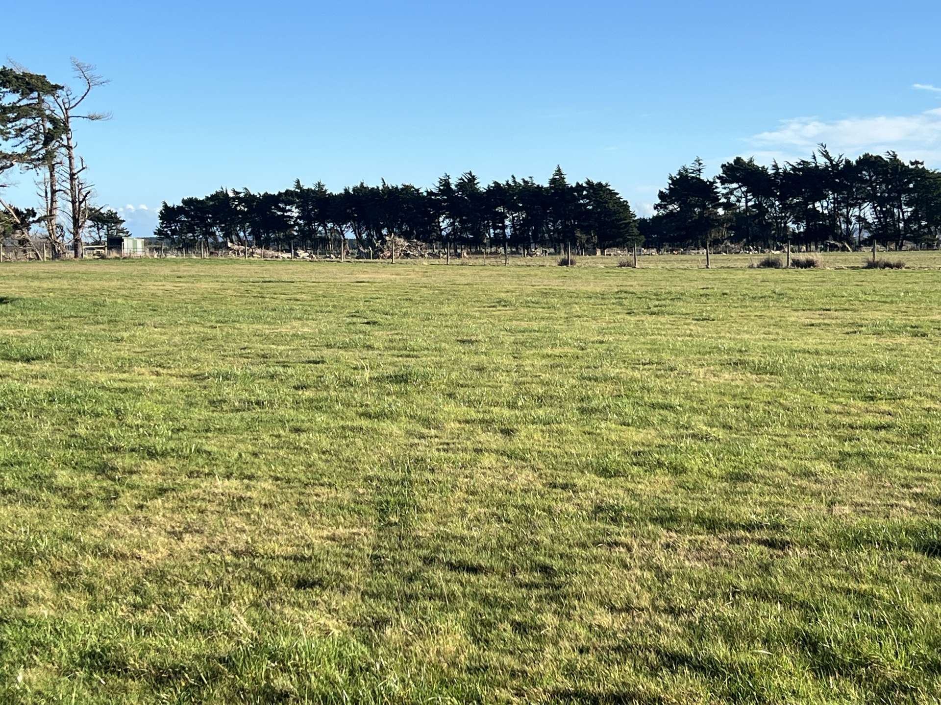 1169 Motu Rimu Road Motu Rimu_0