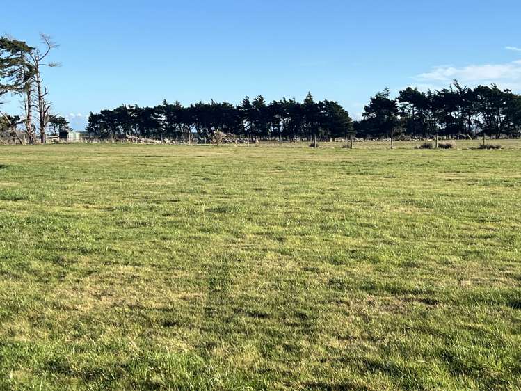 1169 Motu Rimu Road_0