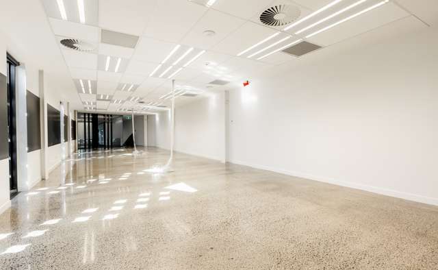 54 Pollen Street Grey Lynn_2