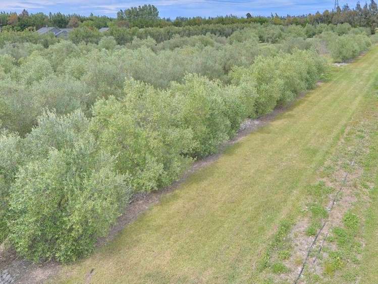 76 Modena Place Ohoka_12