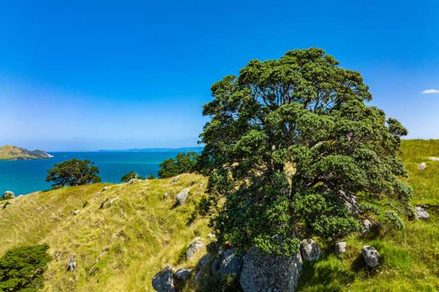 2186 Whangarei Heads Road Whangarei Heads_4