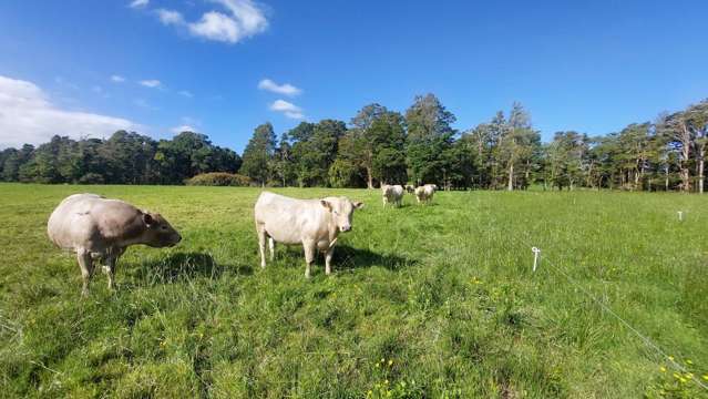 3308 State Highway 1 Hukerenui_2