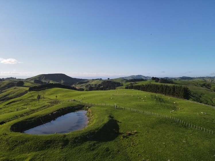 2256 Weber Road Dannevirke_9