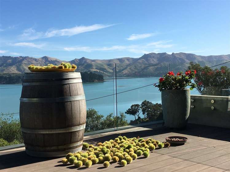 48 Andersons Road Charteris Bay_22