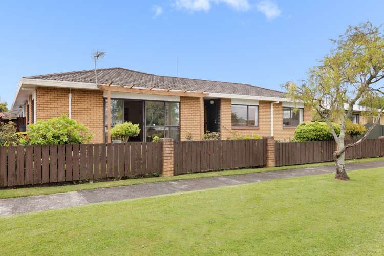 20a Devon Street Greerton_13