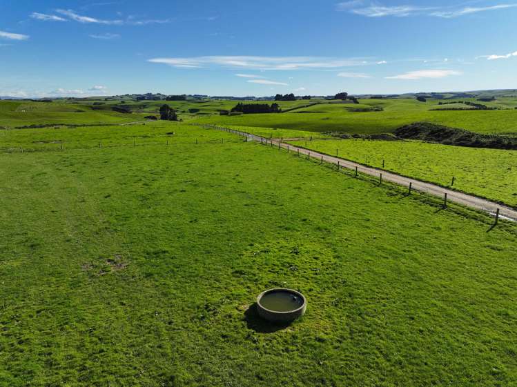 539. Mataura Island Fortrose Road Pine Bush_9