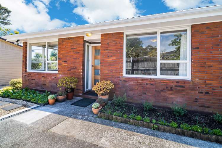 4/6 Akehurst Avenue New Lynn_1