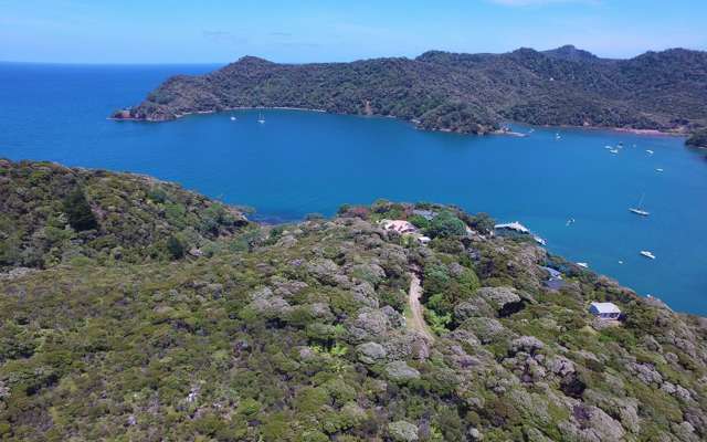 749a Whangaparapara Road Great Barrier Island (Aotea Island)_3