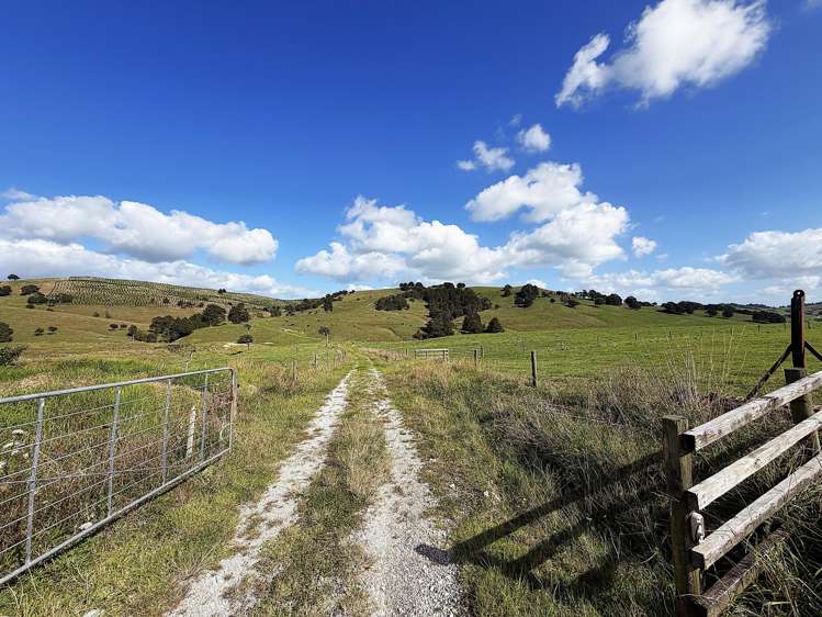 435 Parahi Road Ruawai_21