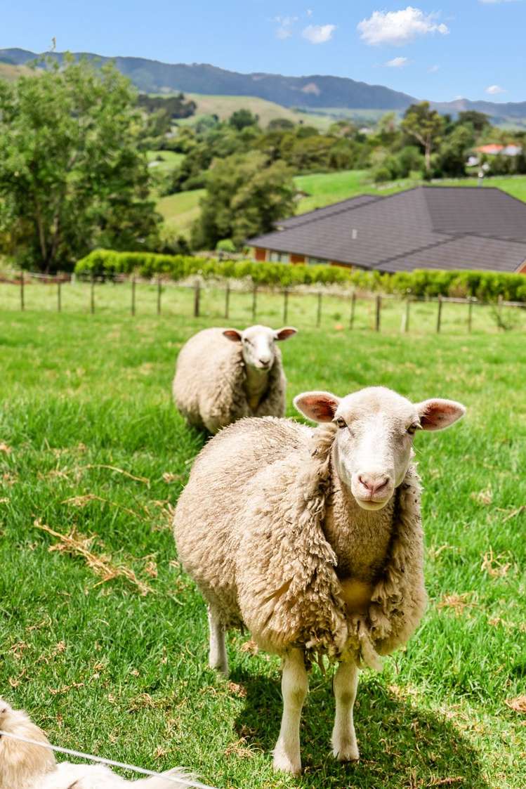 141 Hurndall Street East Maungaturoto_21