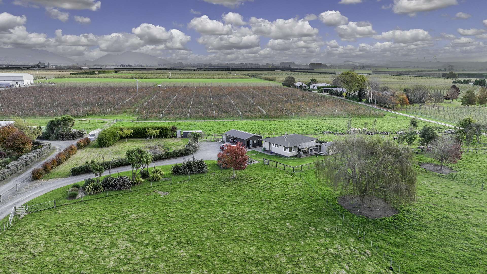 151 Longlands Road Longlands Hastings Houses for Sale One Roof