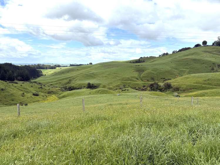 Taotaoroa Road Karapiro_45