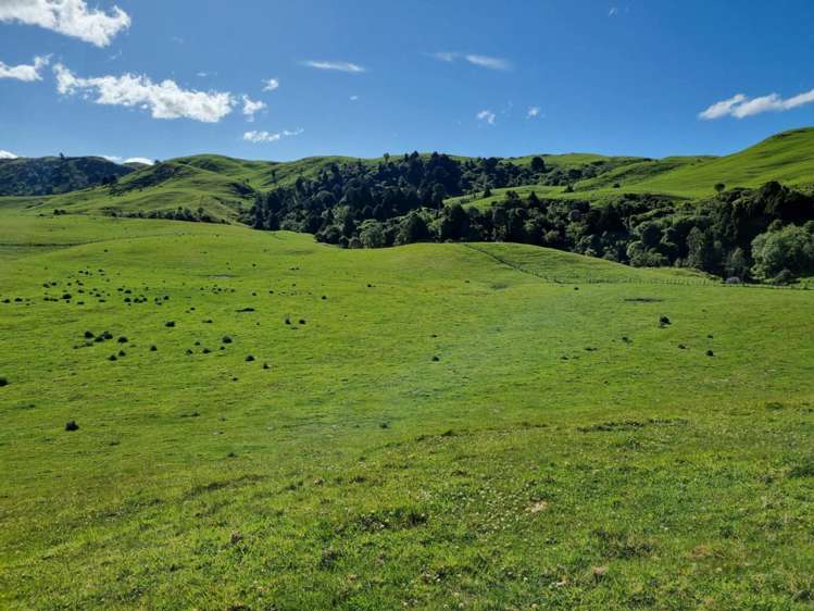 4382 Puketitiri Road Puketitiri_7